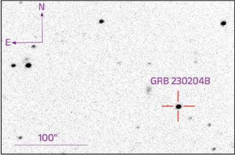 Figure 1. Refer to the following caption and surrounding text.