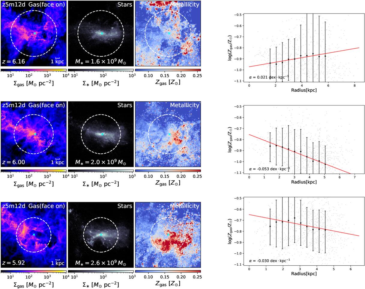 Galaxy Metallicity Gradients in the Epoch of Reionization from the FIRE ...