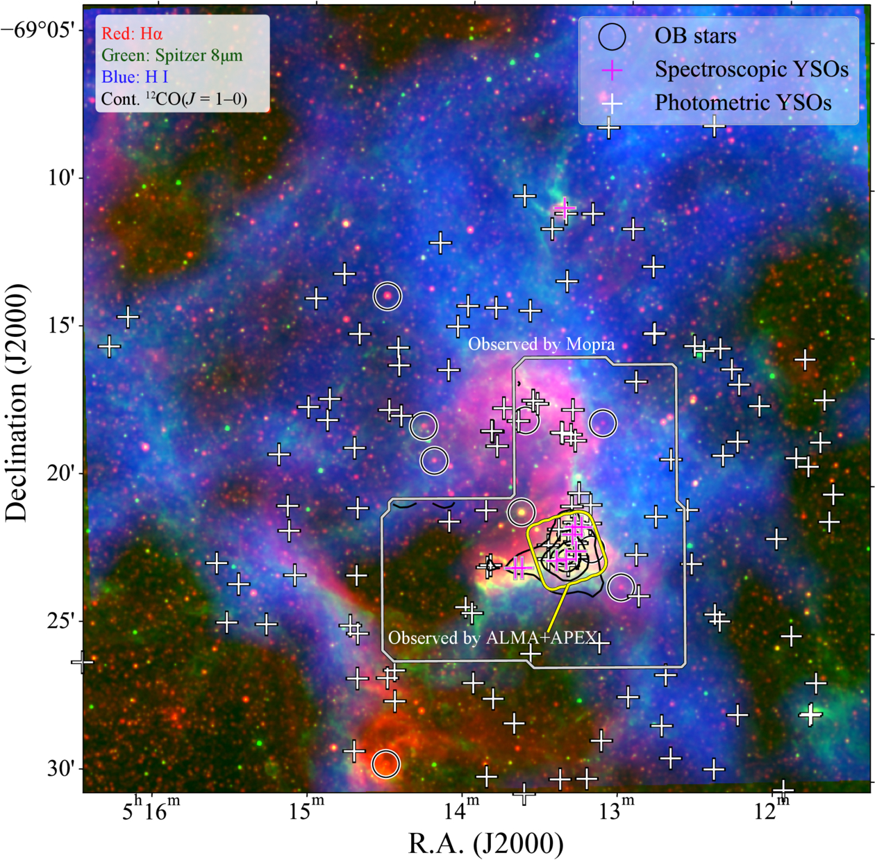 A Multiscale Molecular and Atomic Gas View on the H ii Region N113 in ...