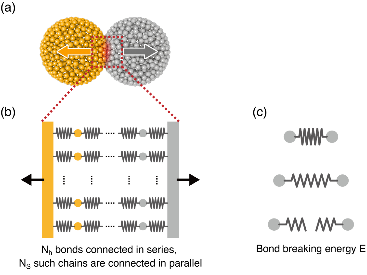 A Semianalytic Model of the Bouncing Barrier for Protoplanetary Dust ...