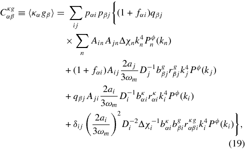 Equation (19)