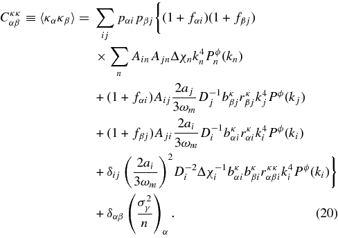 Equation (20)