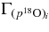 $\Gamma _{(p{}^{18}{\rm O})_{i}}$