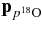 ${\rm {\bf p}}_{p{}^{18}{\rm O}}$