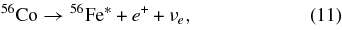 Equation (11)