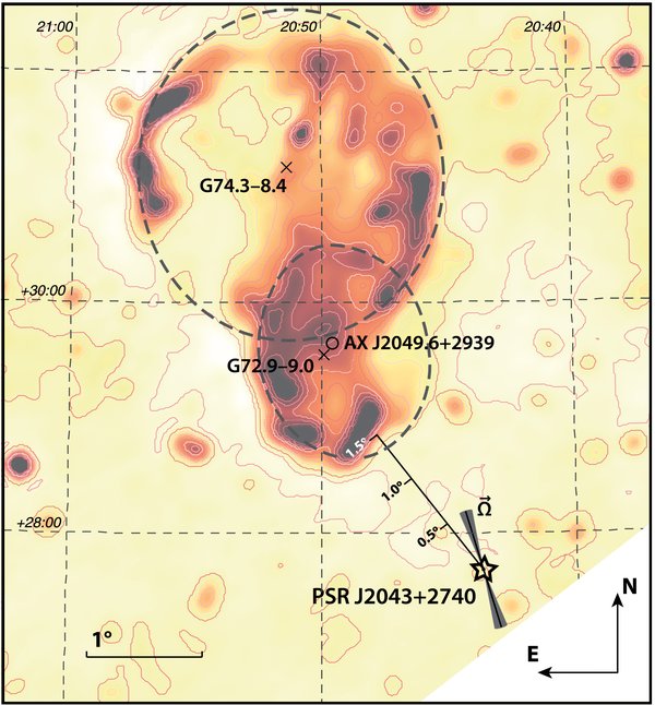 Figure 6. Refer to the following caption and surrounding text.
