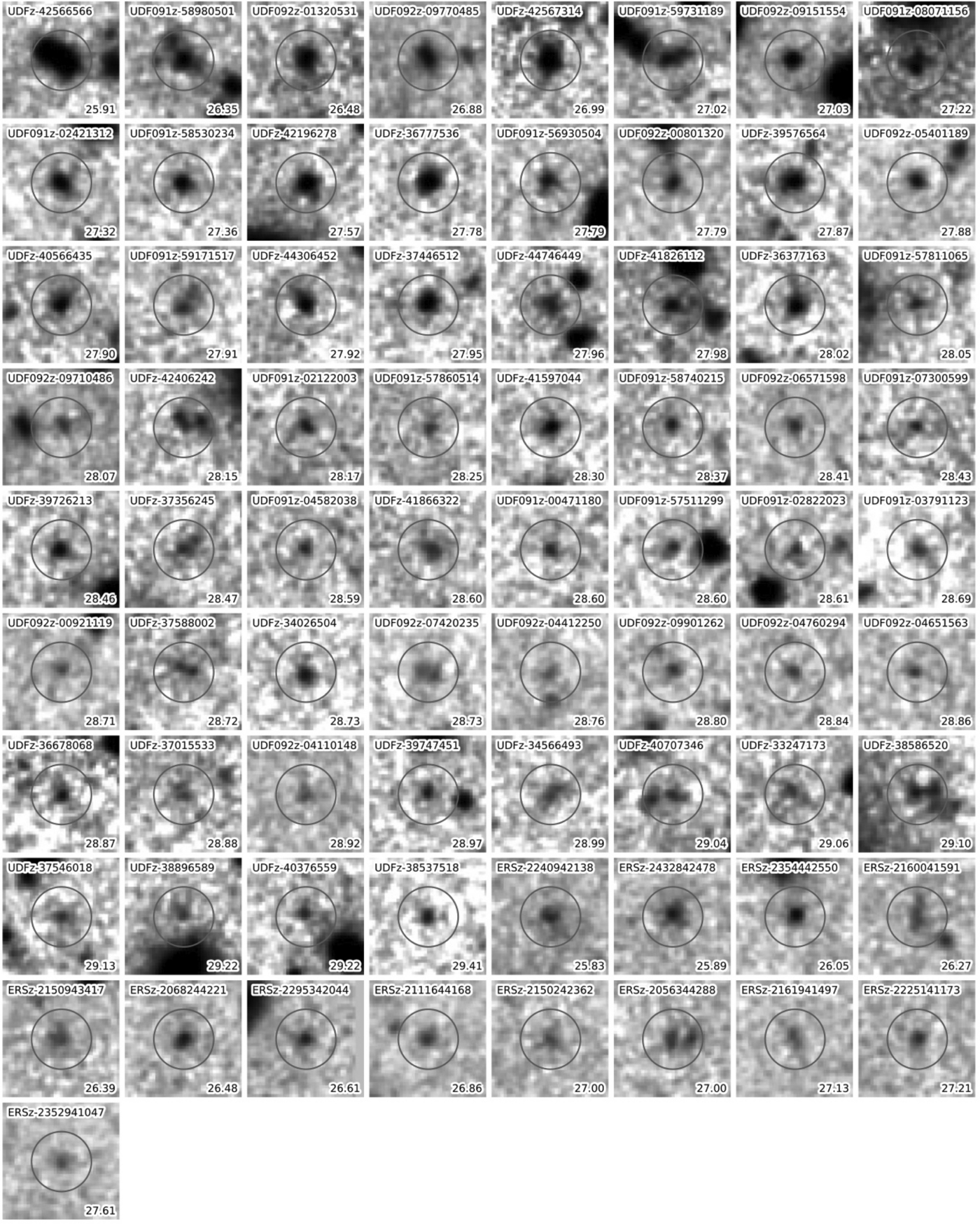 ULTRAVIOLET LUMINOSITY FUNCTIONS FROM 132 z ∼ 7 AND z ∼ 8