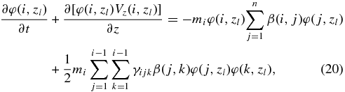 Equation (20)