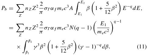 Equation (11)