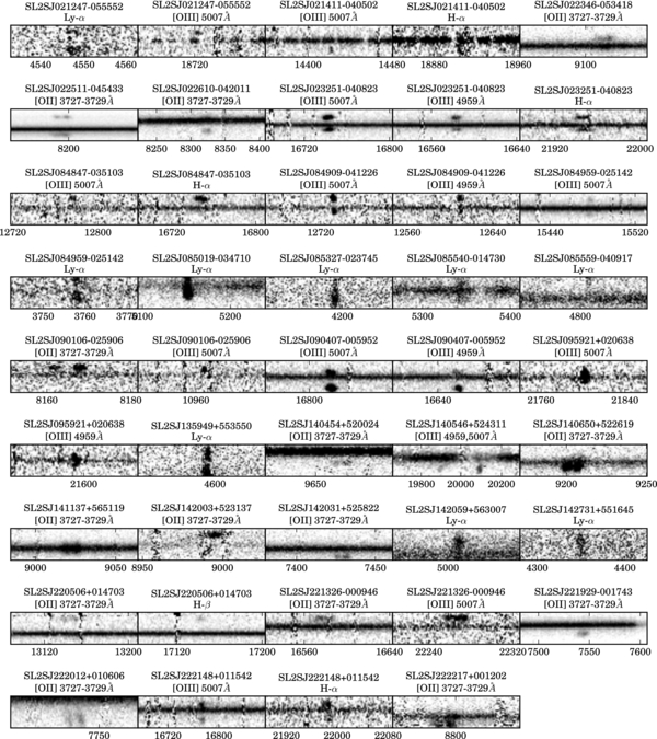 Figure 2. Refer to the following caption and surrounding text.