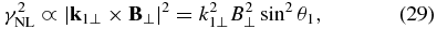 Equation (29)