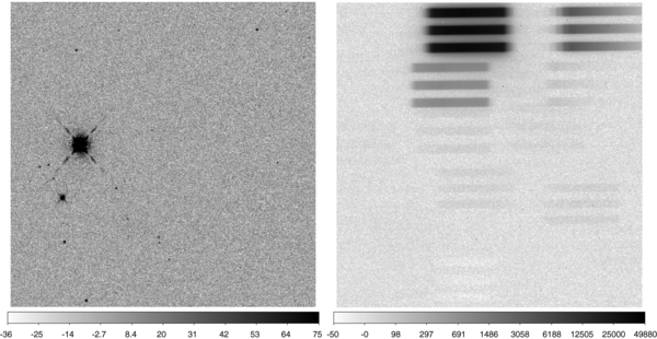 Figure 1. Refer to the following caption and surrounding text.
