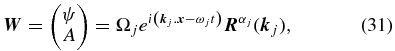 Equation (31)