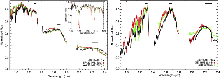 Figure 2. Refer to the following caption and surrounding text.