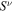 ${S}^{\nu }$