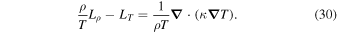 Equation (30)