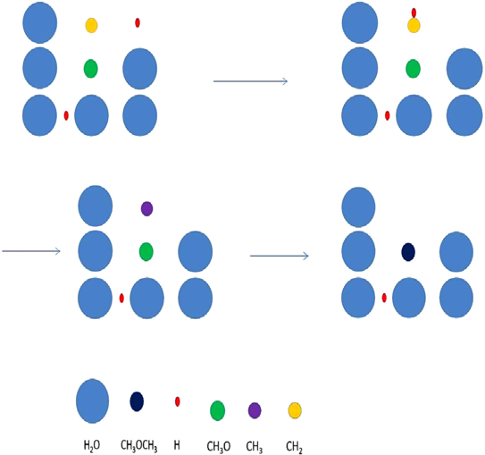 Figure 1. Refer to the following caption and surrounding text.