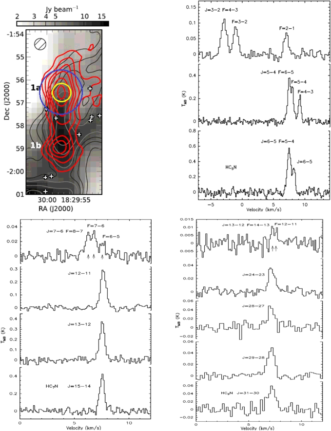 Figure 1. Refer to the following caption and surrounding text.