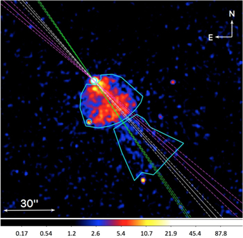 Figure 1. Refer to the following caption and surrounding text.