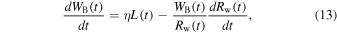 Equation (13)
