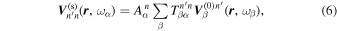Equation (6)