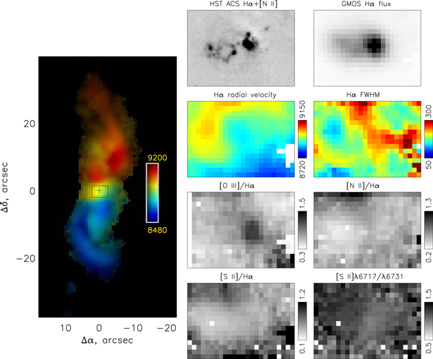 Figure 12. Refer to the following caption and surrounding text.
