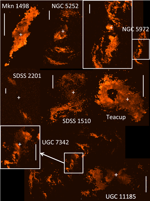 Figure 1. Refer to the following caption and surrounding text.