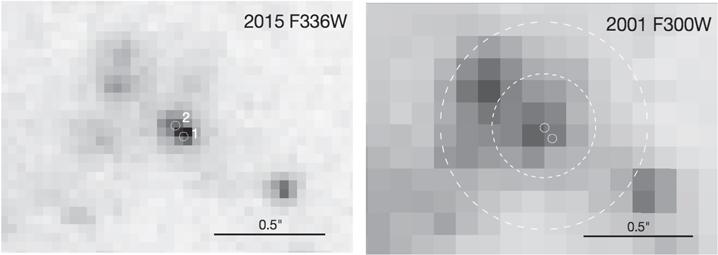 Figure 3. Refer to the following caption and surrounding text.