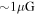 $\sim 1\mu {\rm{G}}$