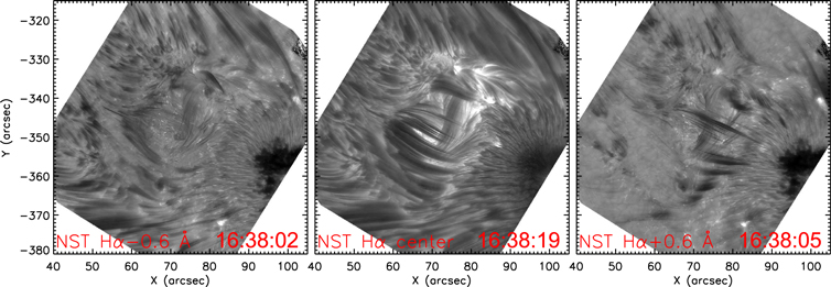 The Eruption of a Small-scale Emerging Flux Rope as the
