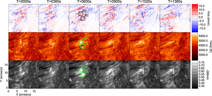 Figure 4. Refer to the following caption and surrounding text.