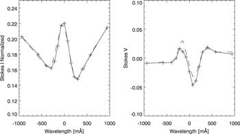 Figure 2. Refer to the following caption and surrounding text.