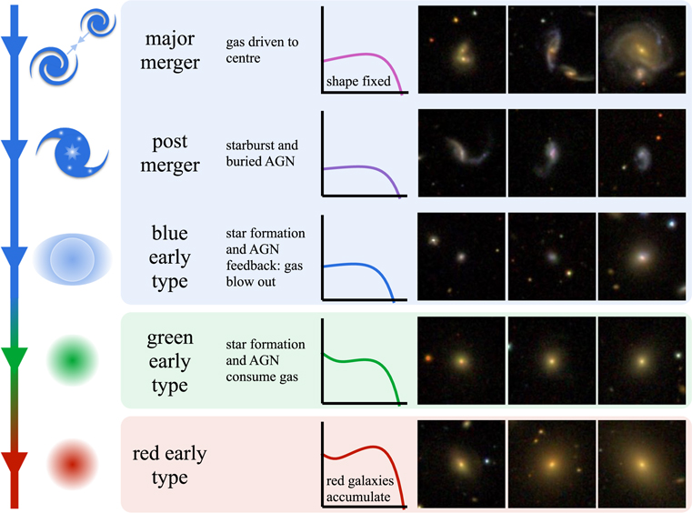 Figure 7. Refer to the following caption and surrounding text.