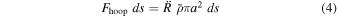 Equation (4)