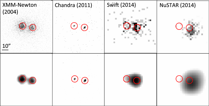 Figure 2. Refer to the following caption and surrounding text.