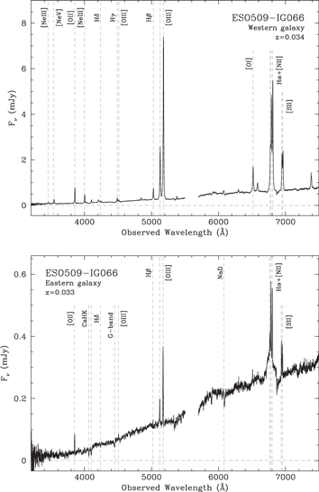 Figure 7. Refer to the following caption and surrounding text.