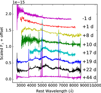 Figure 3. Refer to the following caption and surrounding text.
