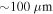 $\sim 100\,\mu {\rm{m}}$