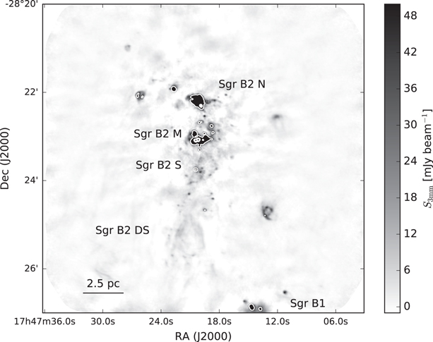 Figure 1. Refer to the following caption and surrounding text.