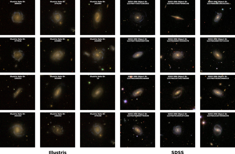 Figure 6. Refer to the following caption and surrounding text.