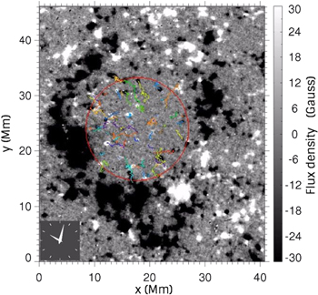 Figure 1. Refer to the following caption and surrounding text.