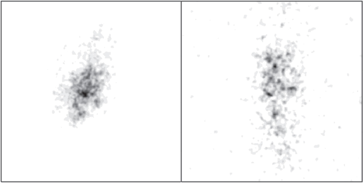 Figure 10. Refer to the following caption and surrounding text.