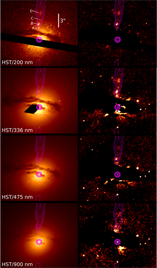 Figure 1. Refer to the following caption and surrounding text.