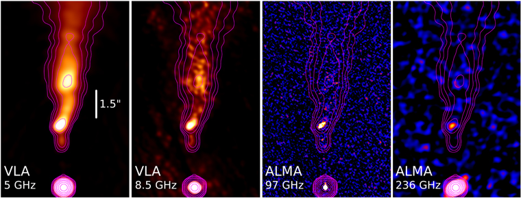Figure 2. Refer to the following caption and surrounding text.