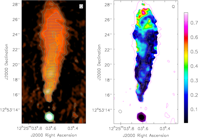 Figure 6. Refer to the following caption and surrounding text.