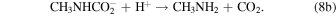 Equation (8b)