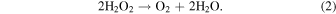 Equation (2)