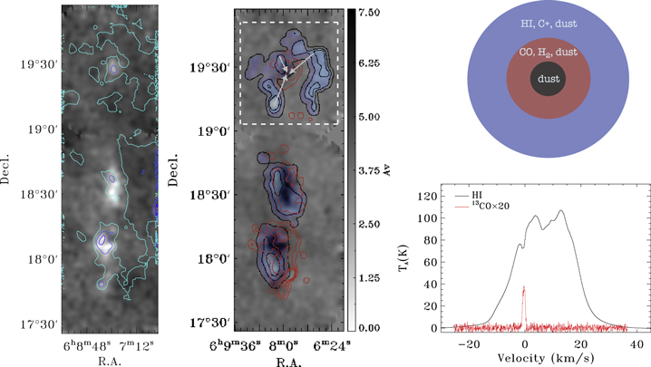 Figure 1. Refer to the following caption and surrounding text.