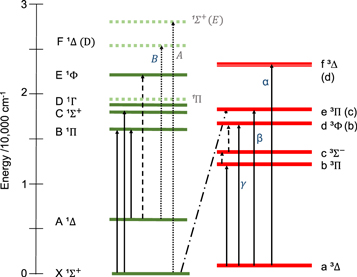 Figure 1. Refer to the following caption and surrounding text.