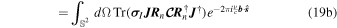 Equation (19b)